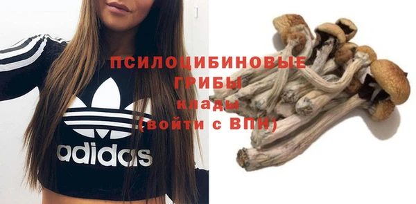 молекула духа Вяземский
