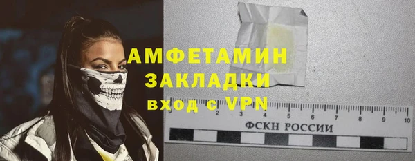 молекула духа Вяземский