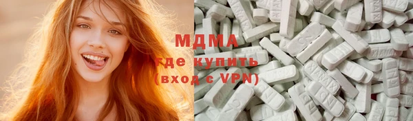 молекула духа Вяземский