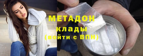 молекула духа Вяземский