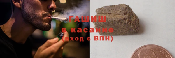 молекула духа Вяземский