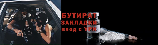 молекула духа Вяземский