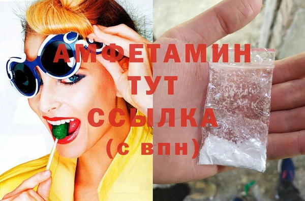 молекула духа Вяземский