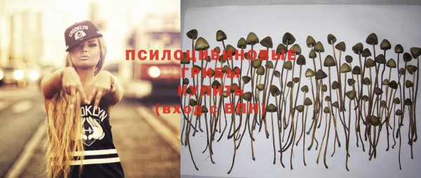 молекула духа Вяземский