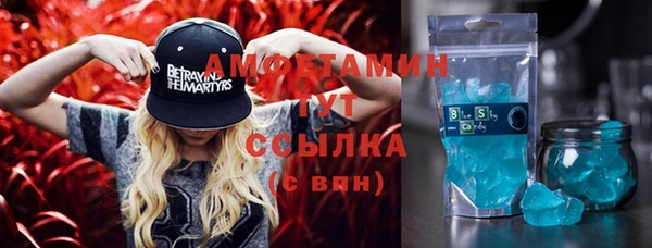 молекула духа Вяземский