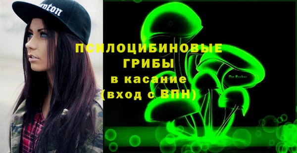 молекула духа Вяземский